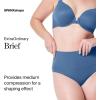 EcoCare Seamless Sculpting Brief(Indigo Haze)